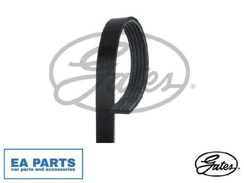 Ribbed belts for fiat - v-ribbed,