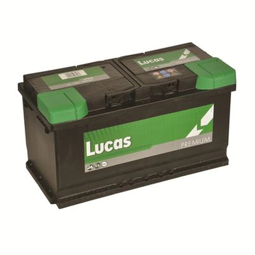 Battery 12v 95ah 800a - 12v,