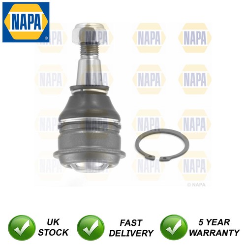 Ball joint front lower napa - ball,